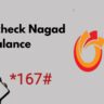 how to check nagad balance